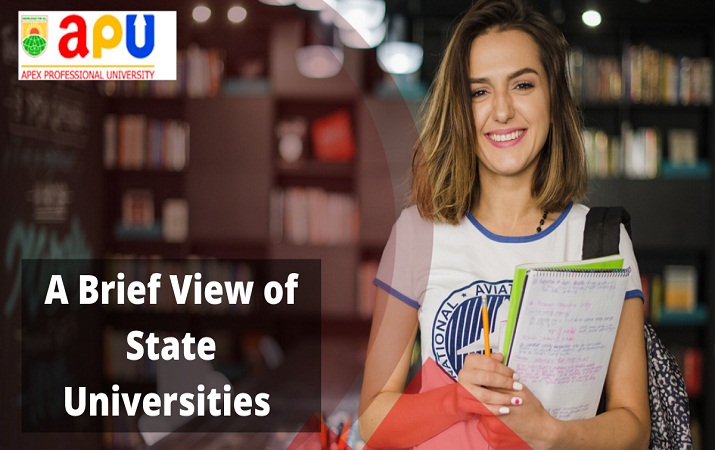 A Brief View of State Universities